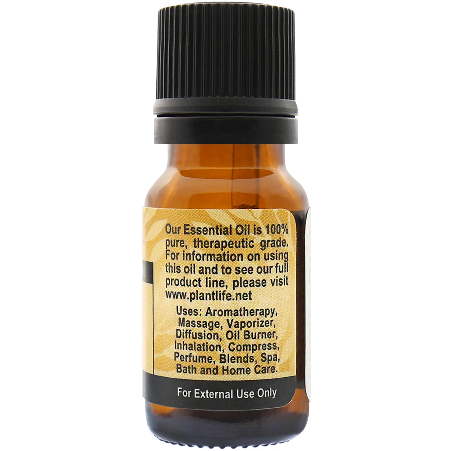 Caraway Essential Oil - Image 2
