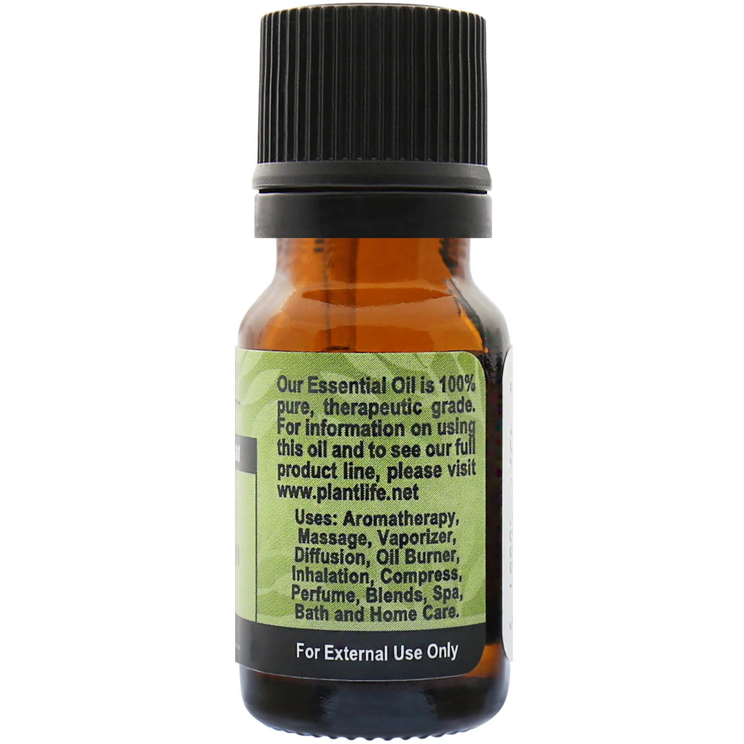 Cedar Leaf Essential Oil - Image 2