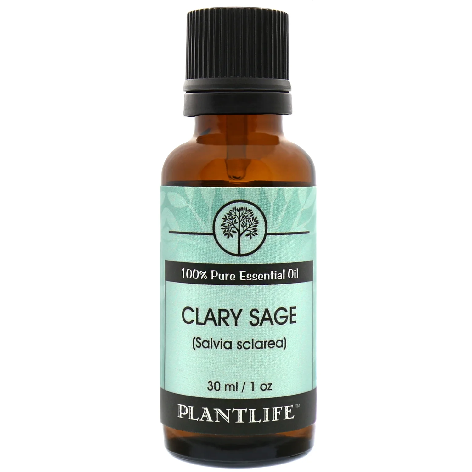 Clary Sage Essential Oil - Image 6