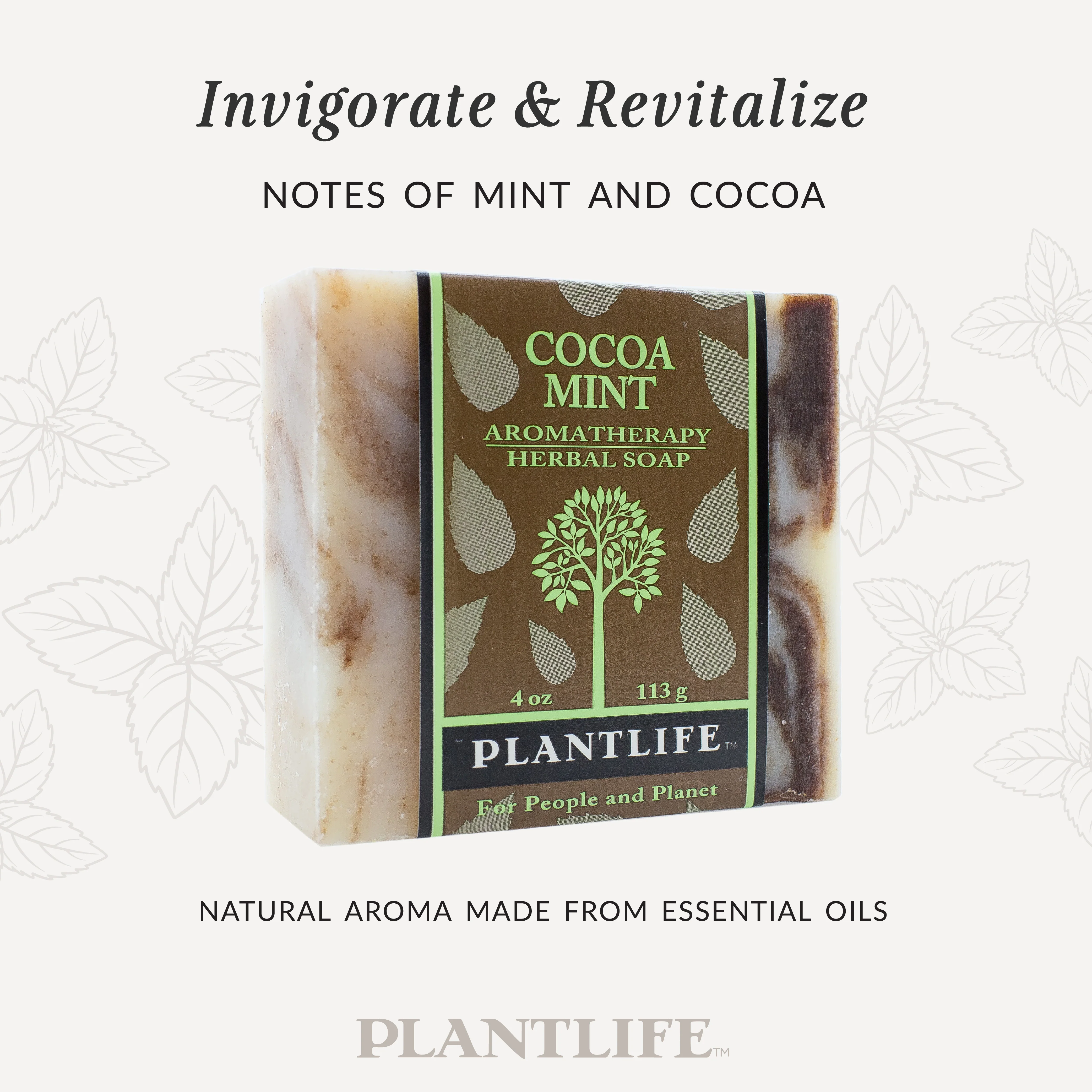 Cocoa Mint Bar Soap - Image 3