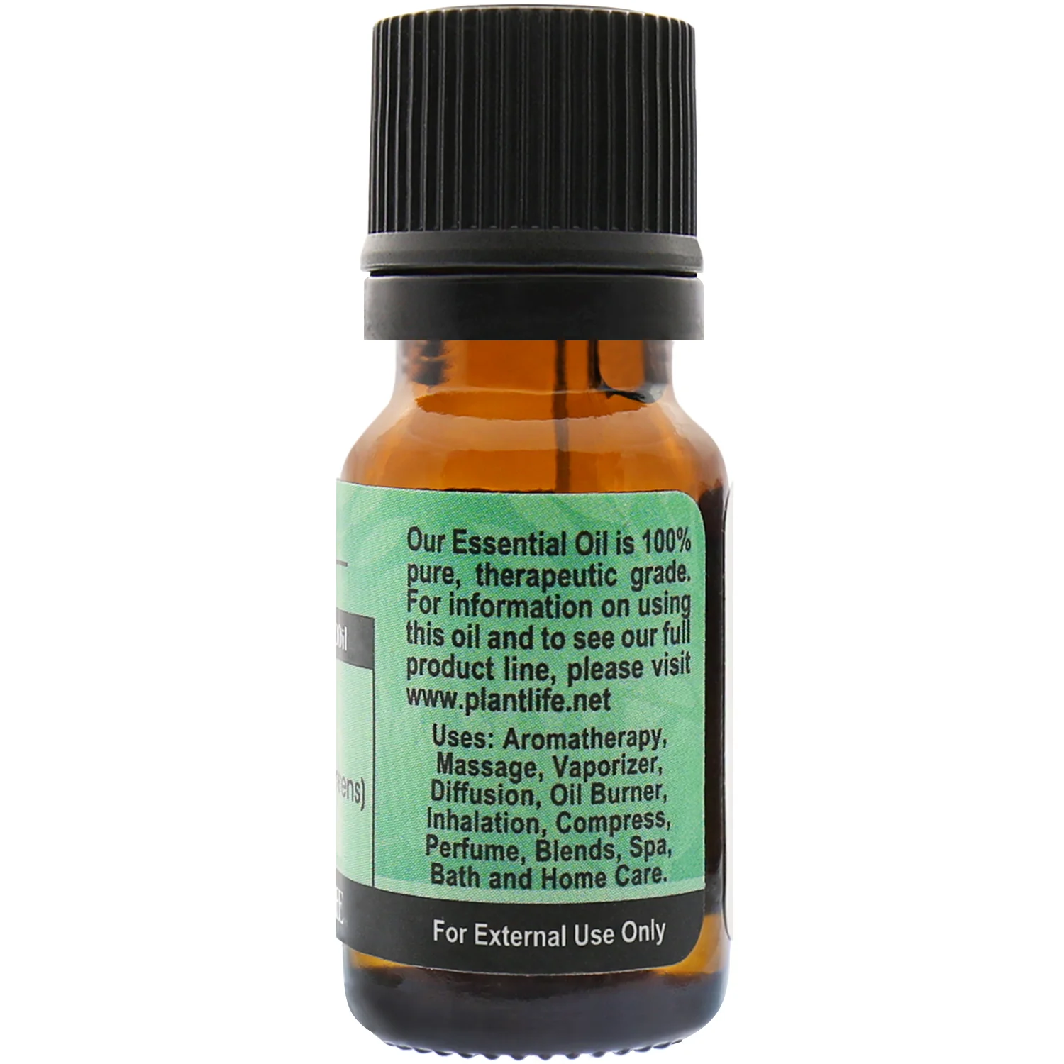 Cypress Essential Oil - Image 2