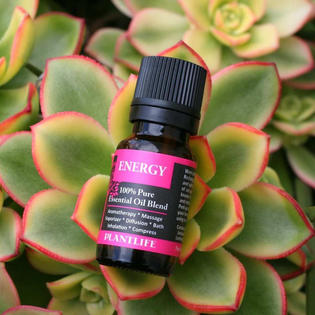 Energy Essential Oil Blend - Image 4