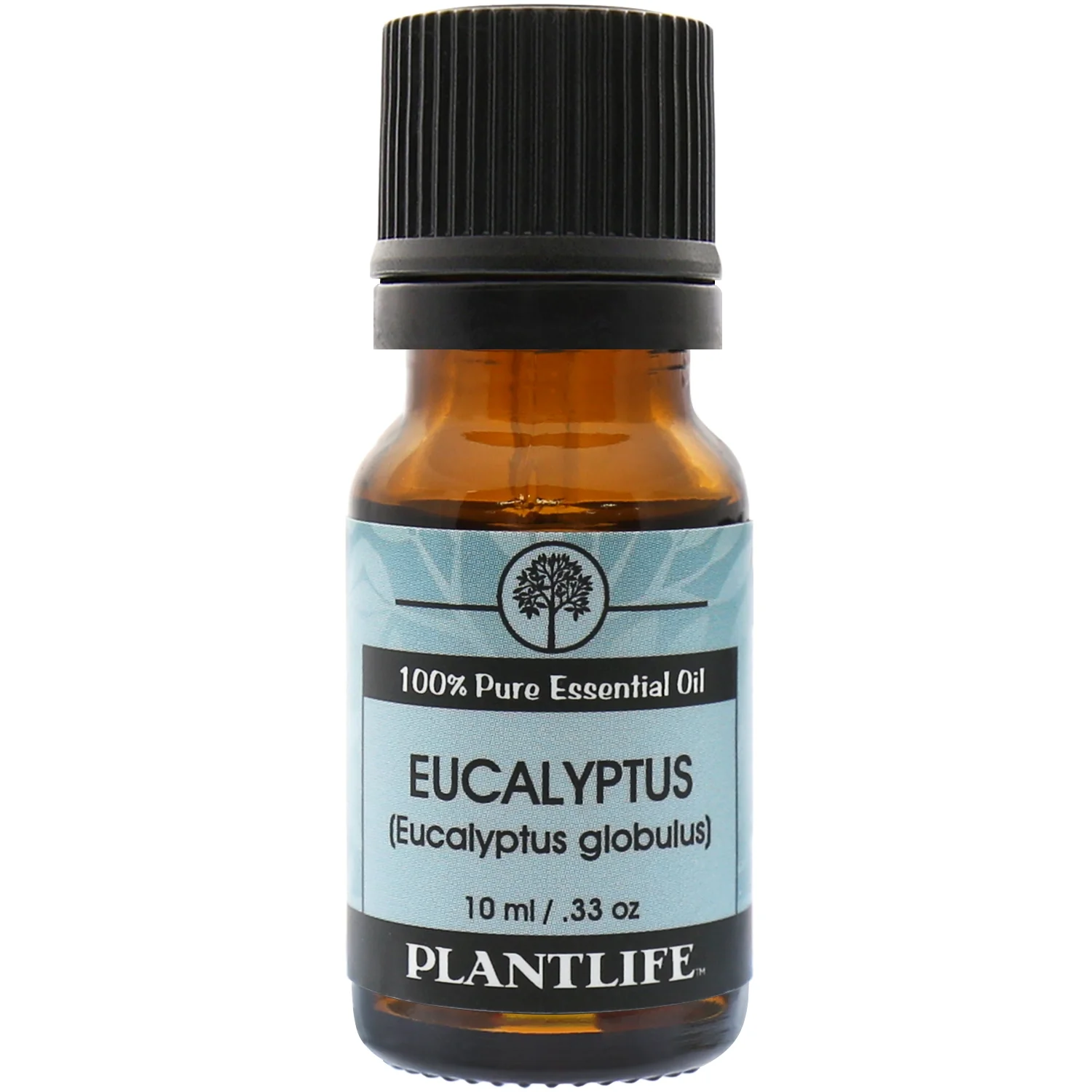 Eucalyptus Essential Oil - Image 5