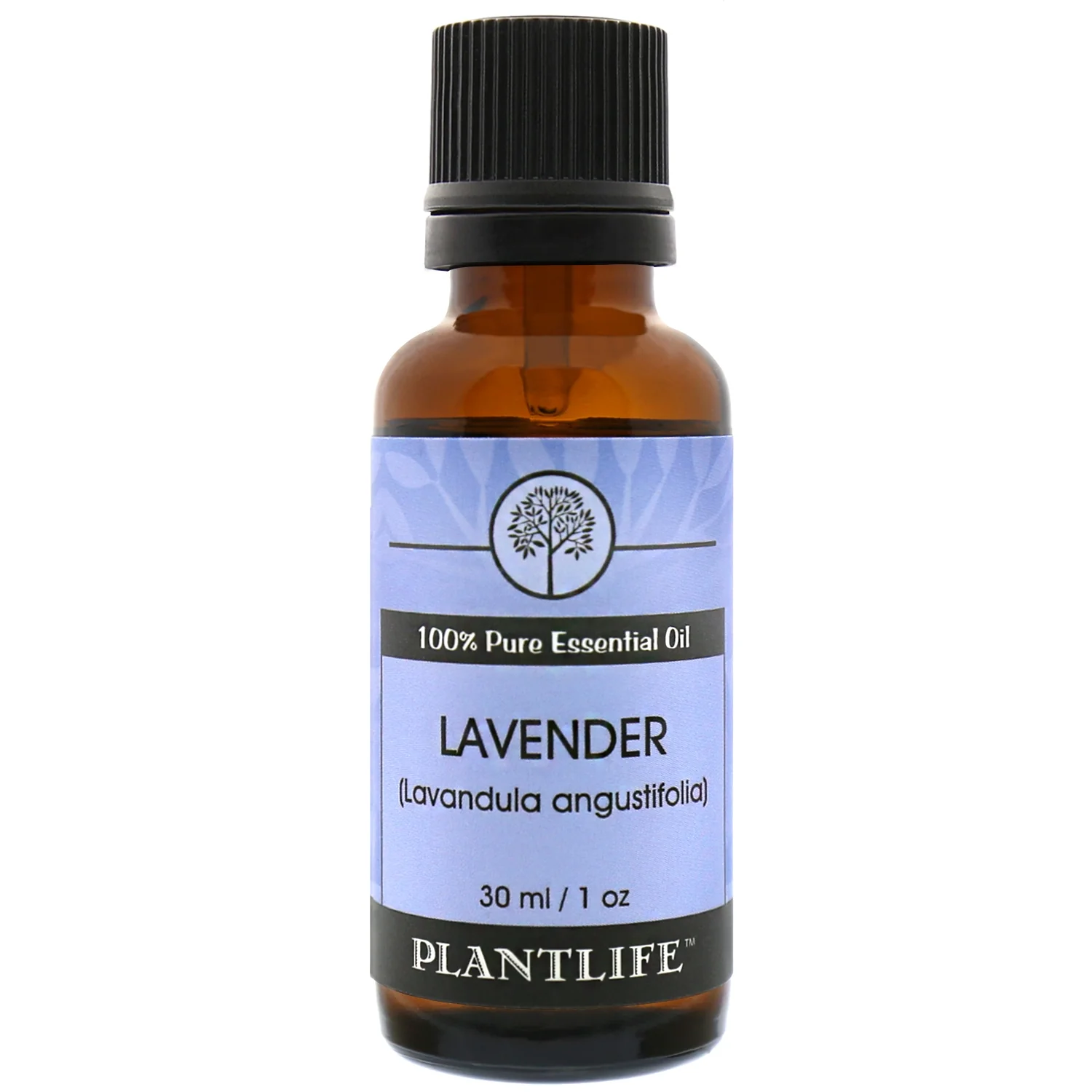 Lavender Bulgarian Essential Oil - Image 3