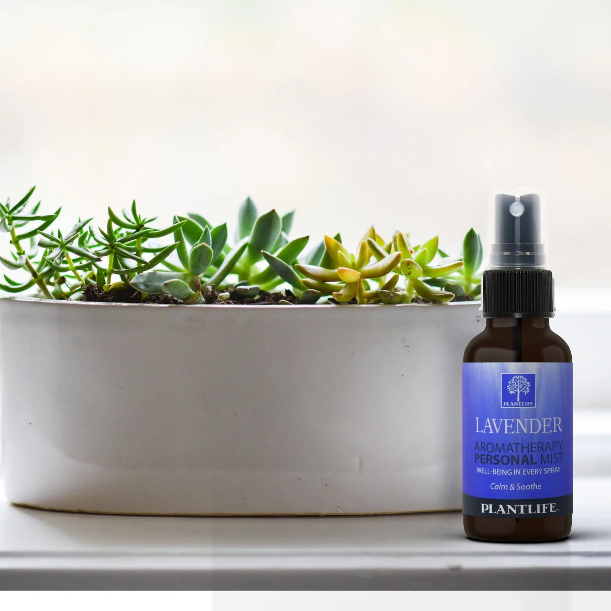 Lavender Mist - Image 5