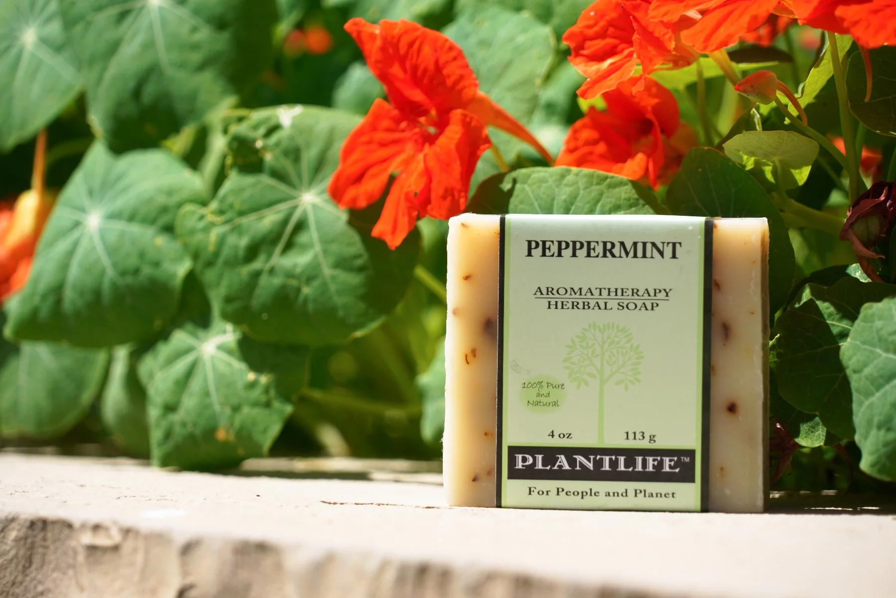 Peppermint Bar Soap - Image 9