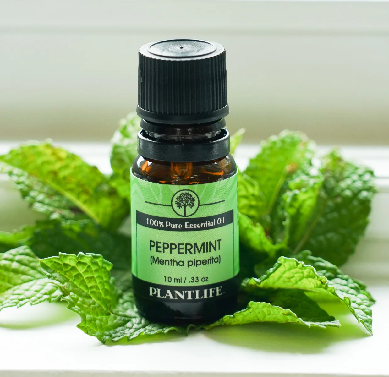 Peppermint Essential Oil - Image 5