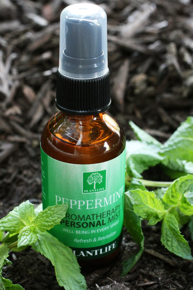 Peppermint Mist - Image 5