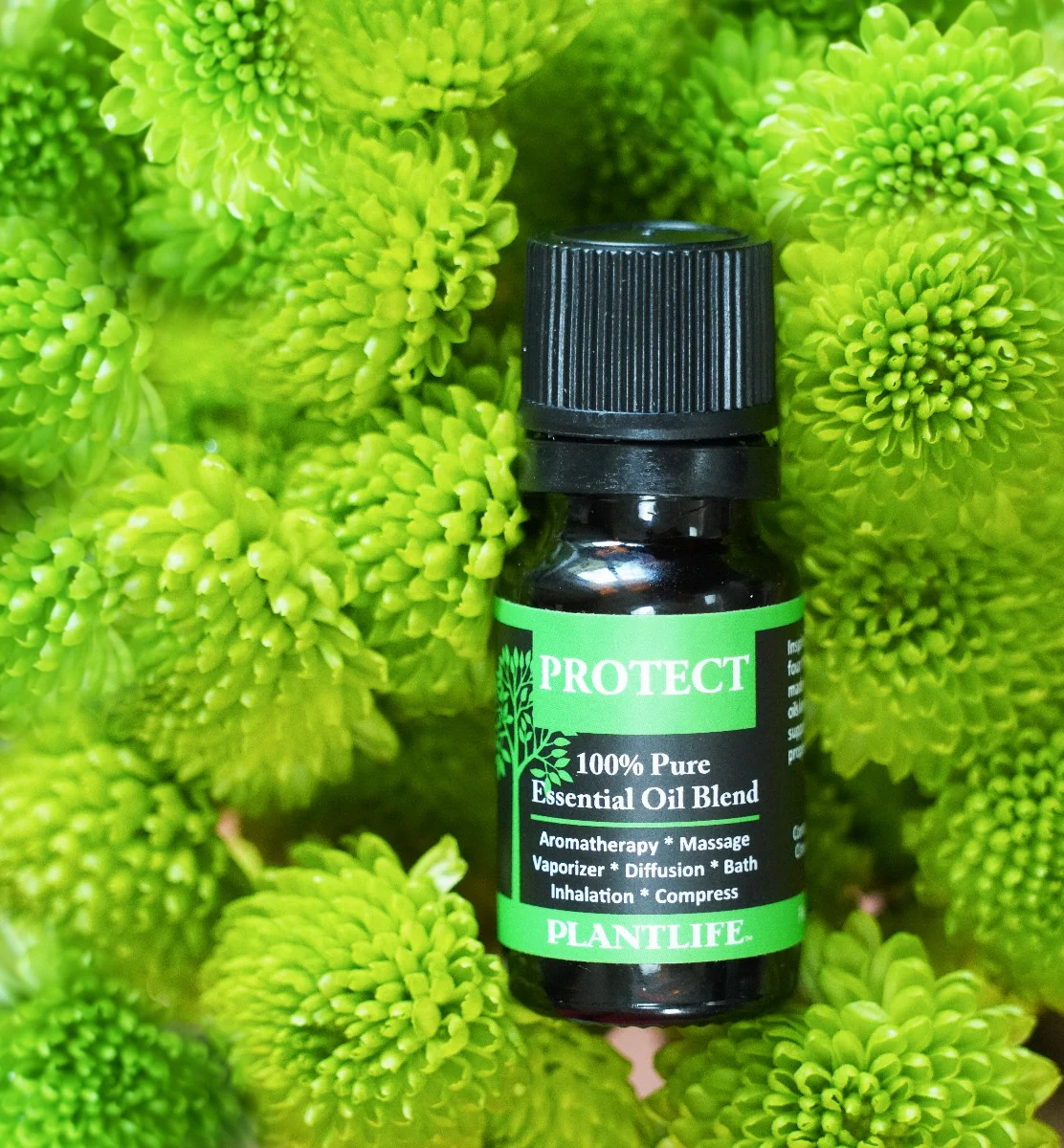 Protect Essential Oil Blend - Image 4