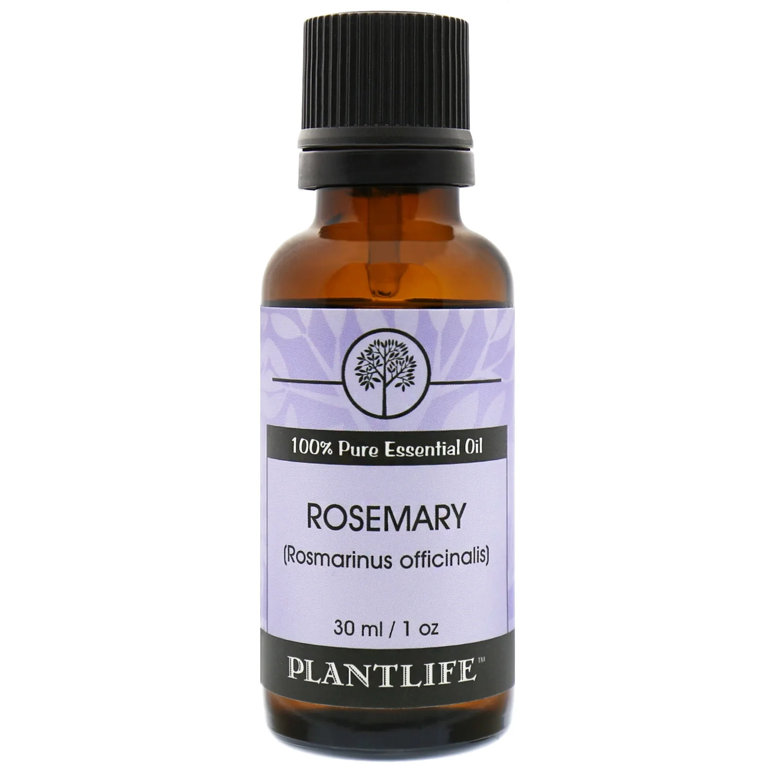 Rosemary Essential Oil - Image 3
