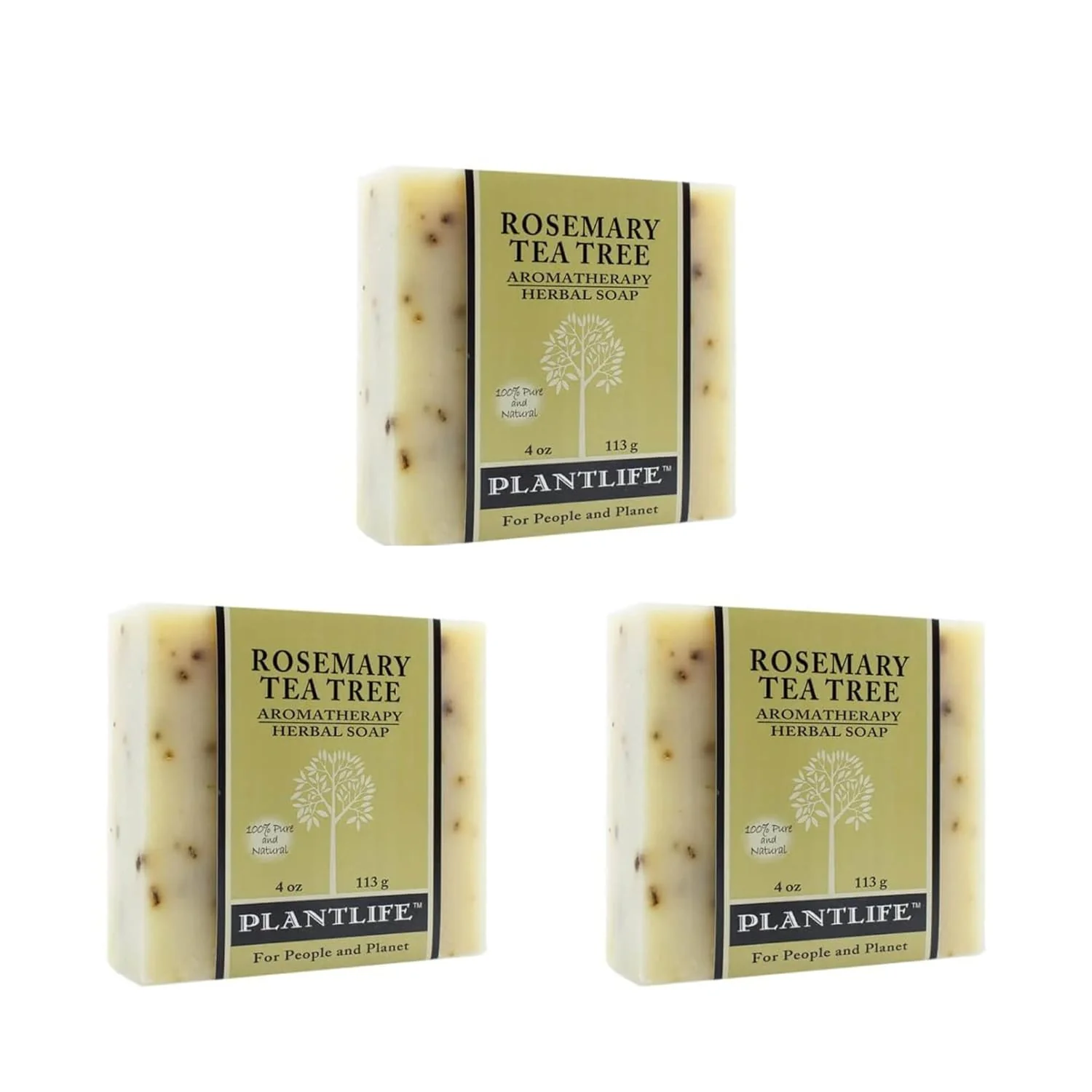 Rosemary Tea Tree - Image 8