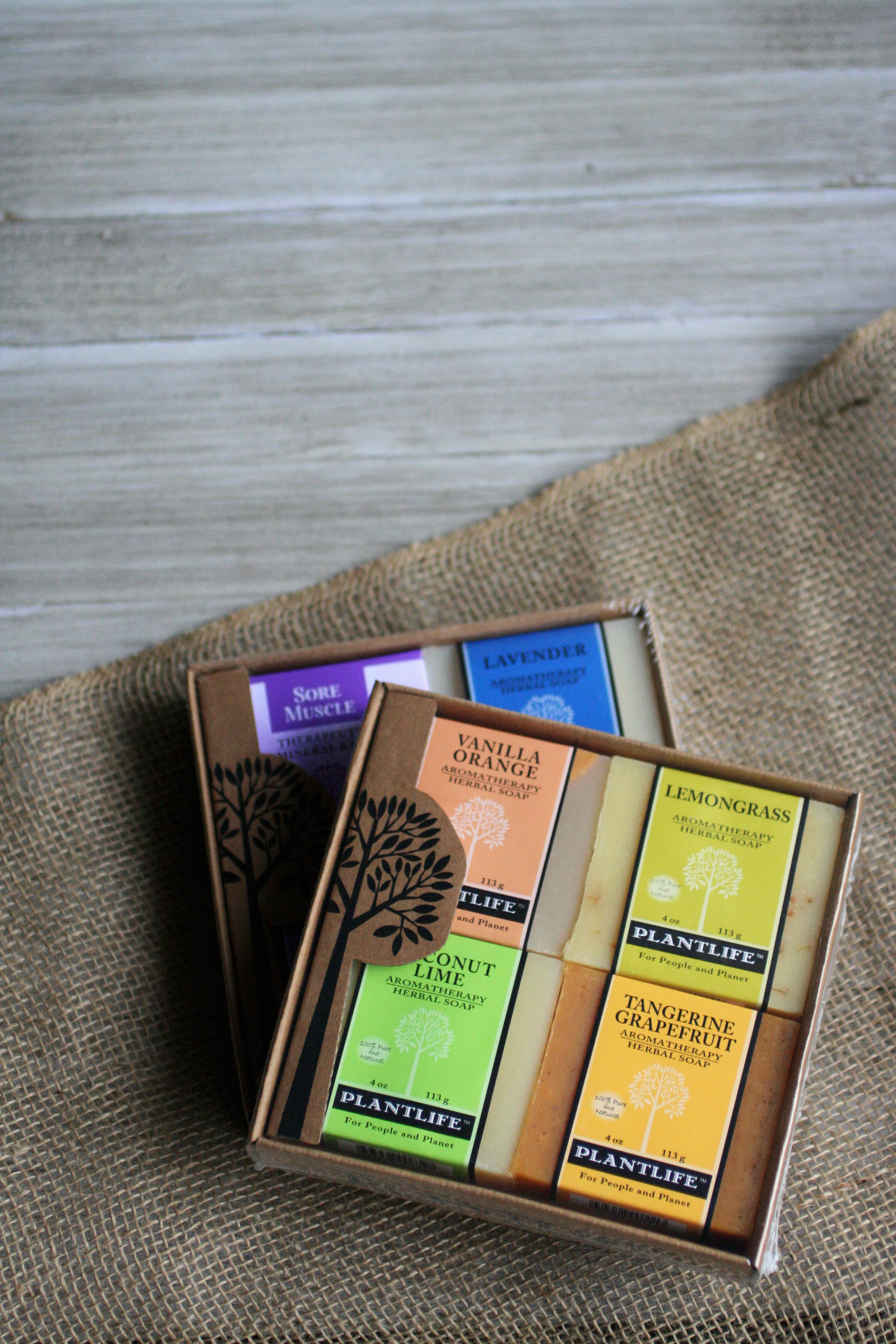 Soap Combo 4 Pack - Fruit - Image 3
