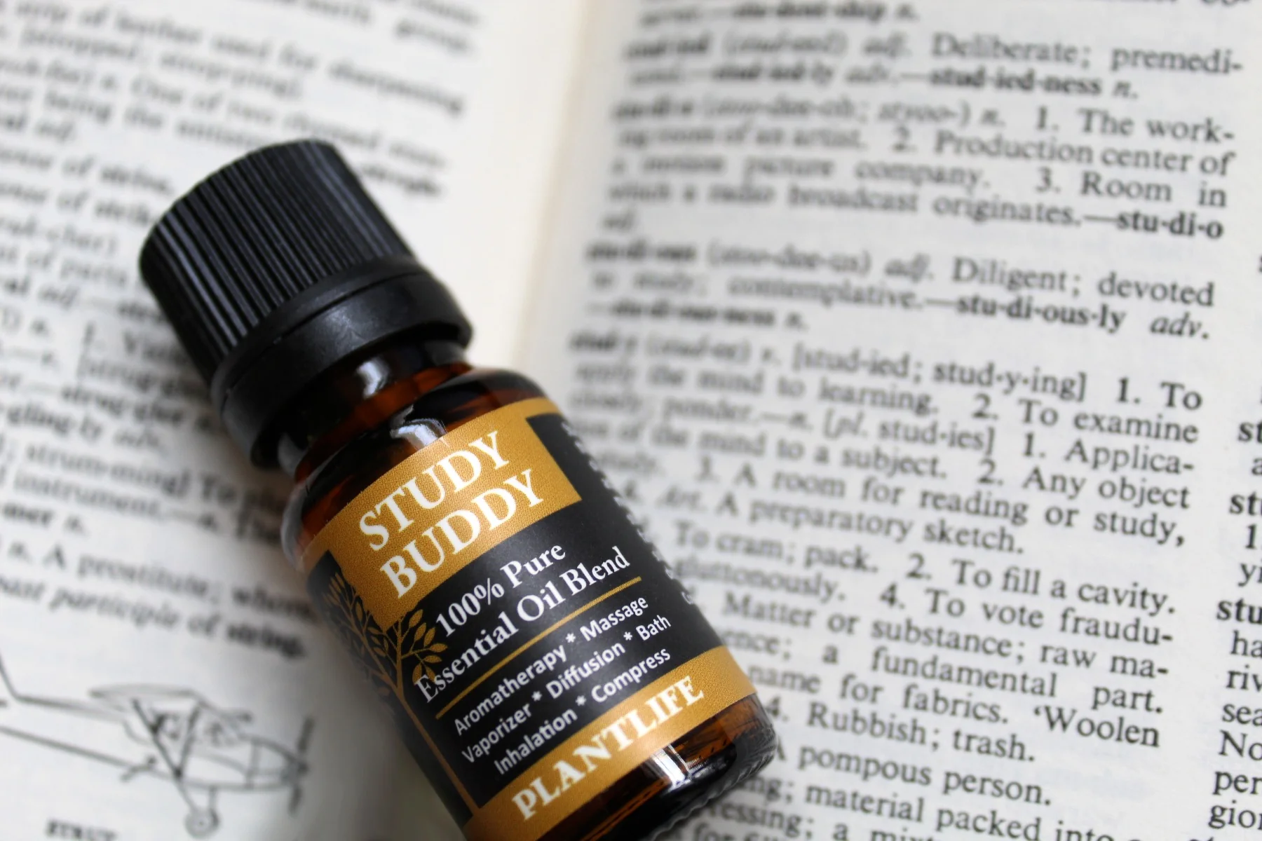 Study Buddy Essential Oil Blend - Image 4