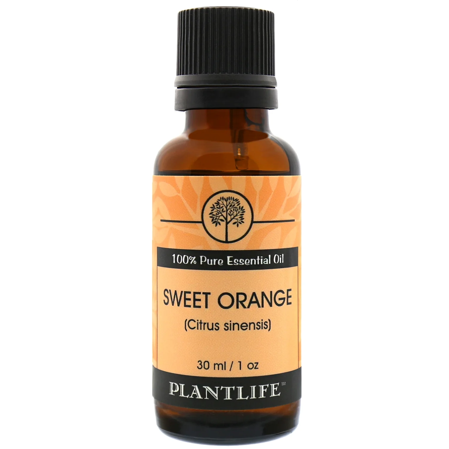 Sweet Orange Essential Oil - Image 3